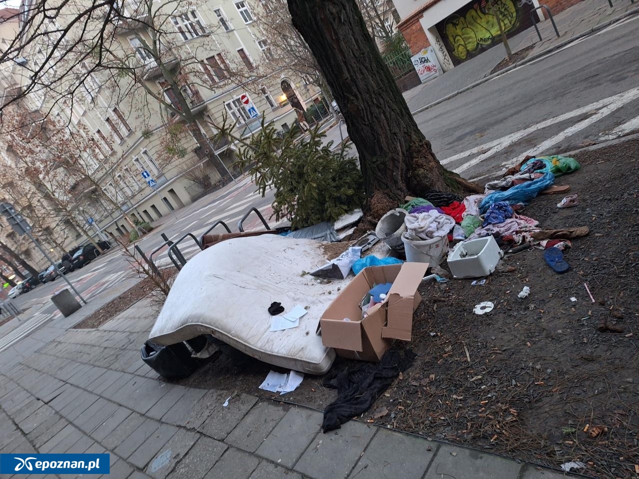 fot. Straż Miejska Miasta Poznania / FB