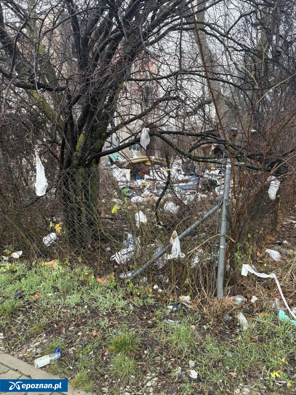 fot. Czytelniczka