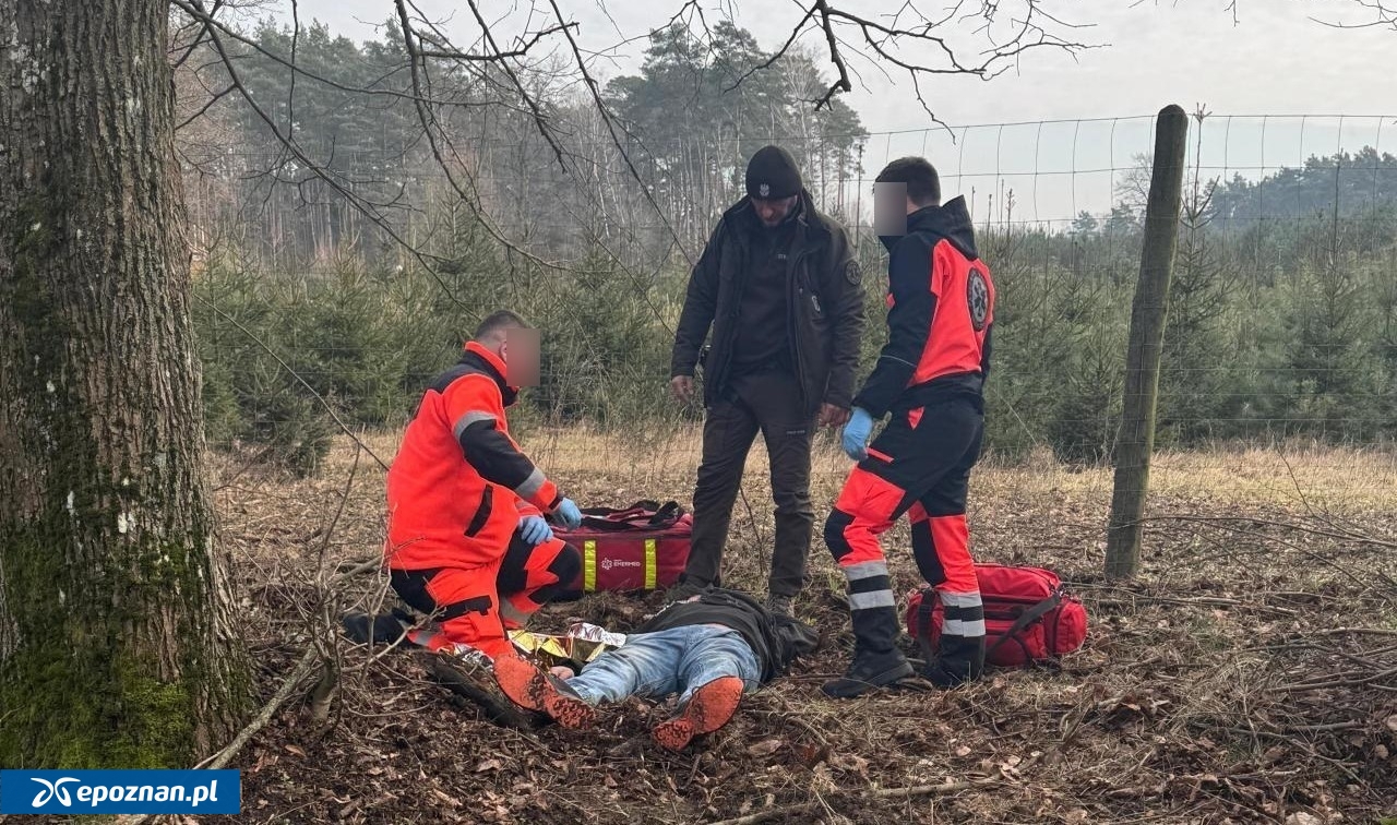 fot. Michał Sujak z Nadleśnictwa Czerniejewo