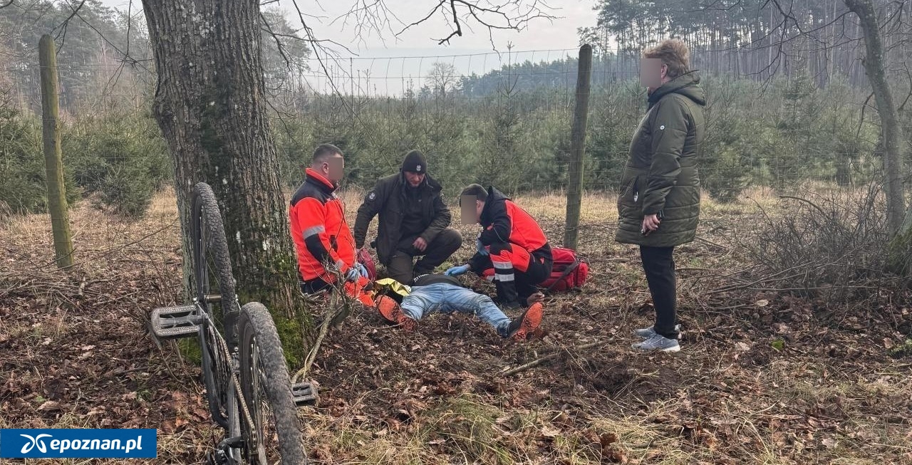 fot. Michał Sujak z Nadleśnictwa Czerniejewo