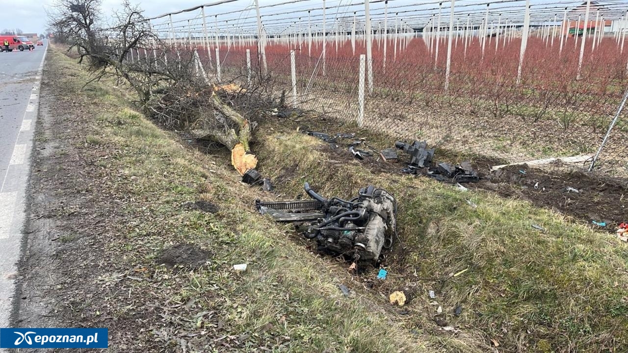 fot. kalisz24.info.pl