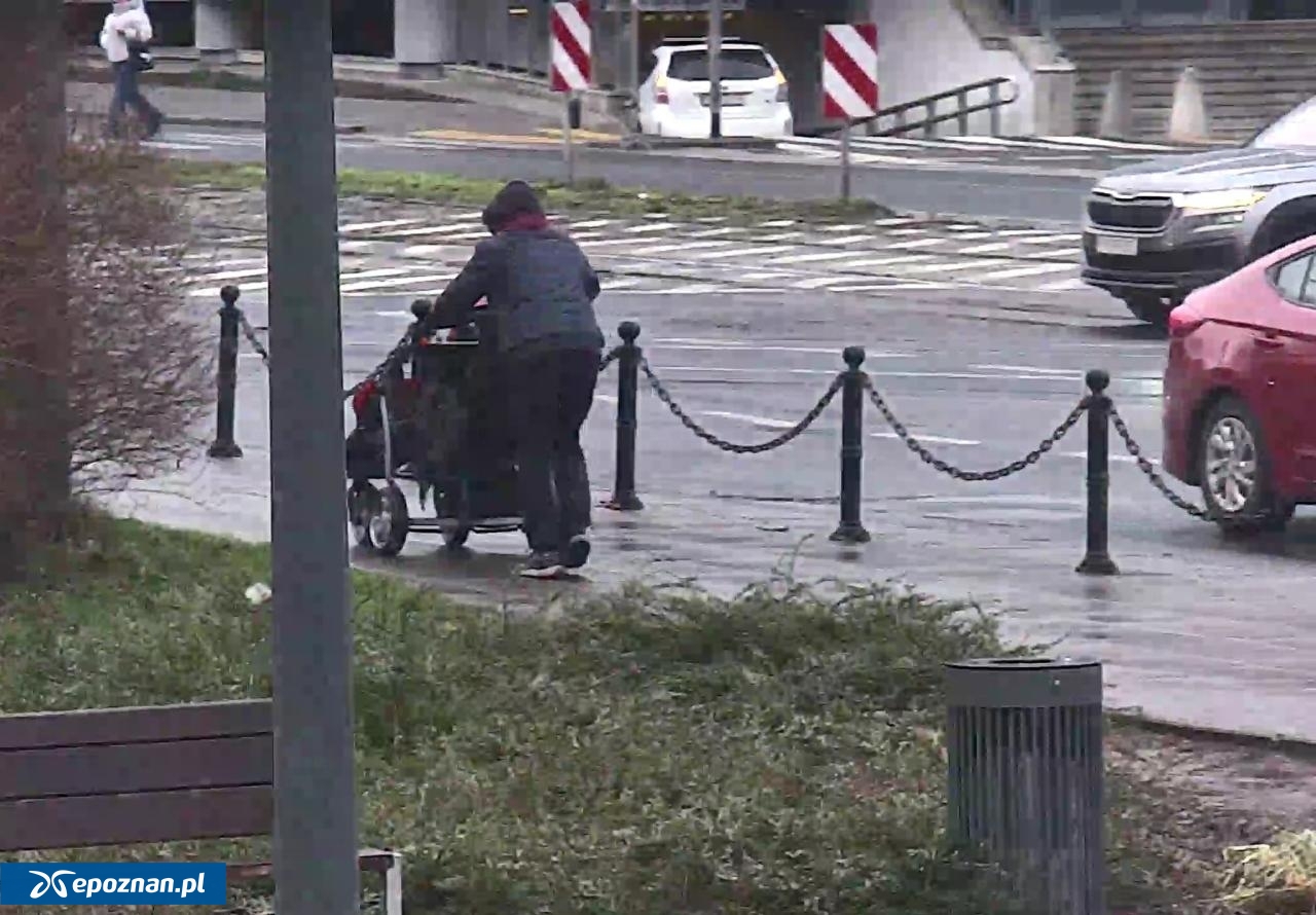 fot. Straż Miejska