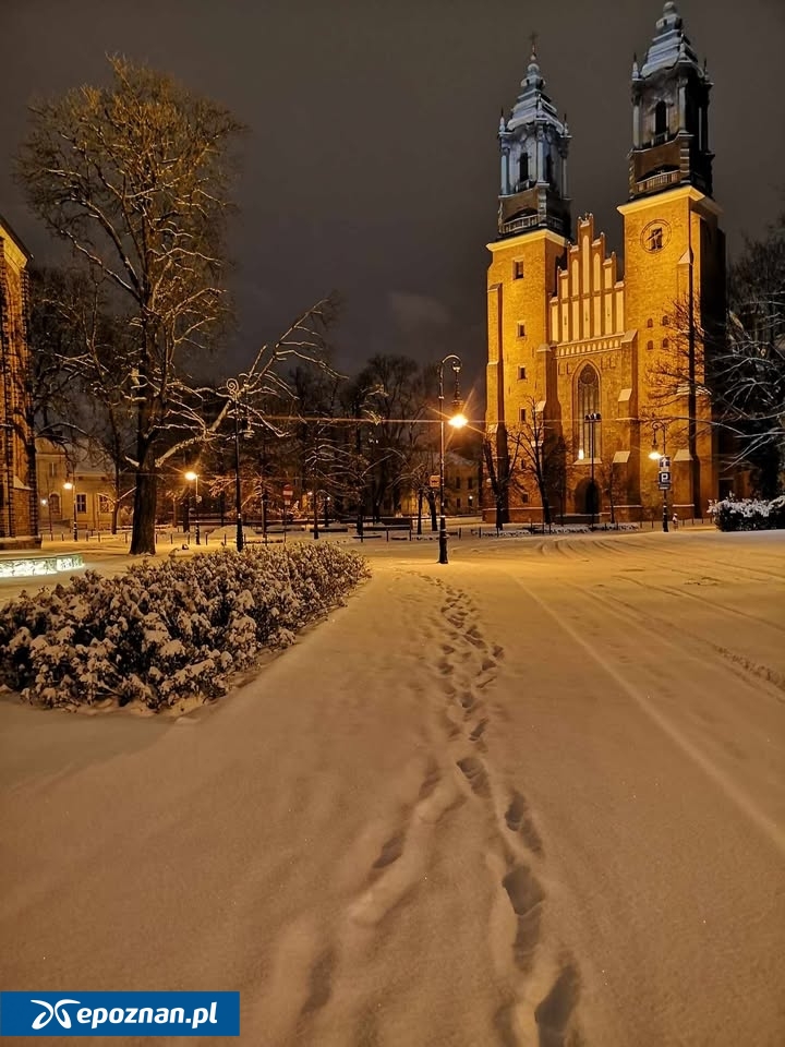 fot. Michał