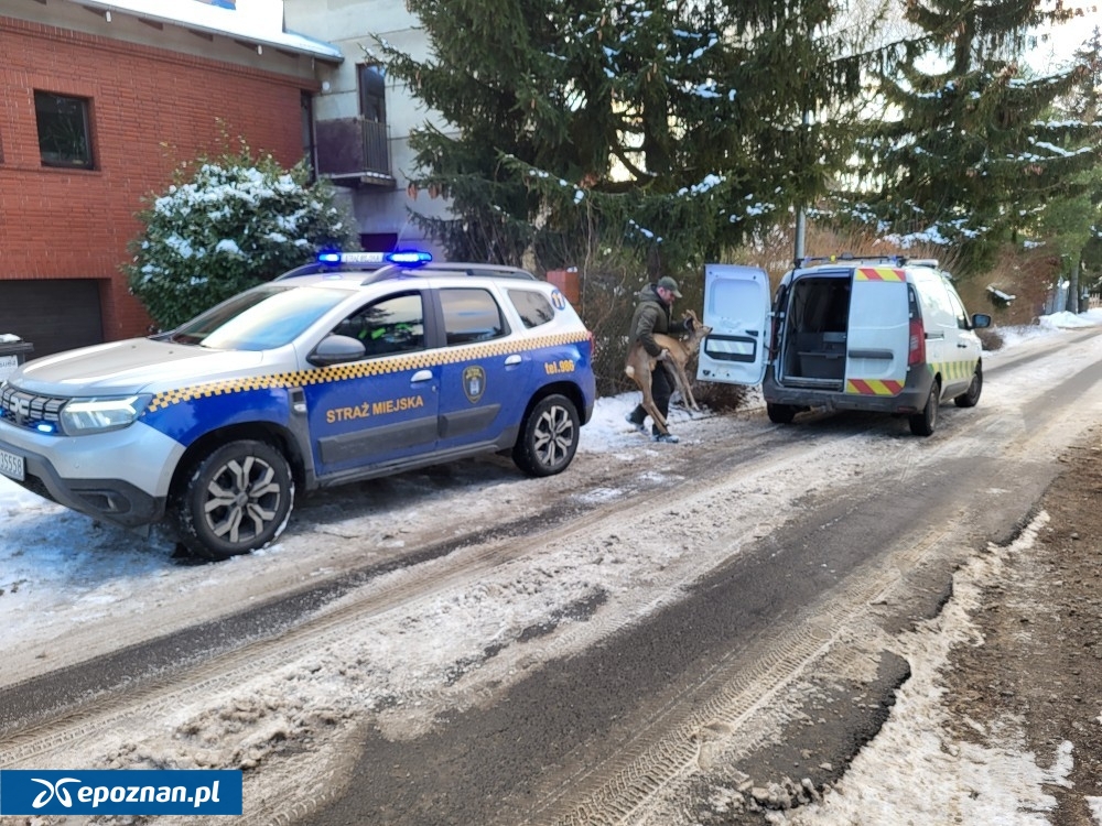 fot. Straż Miejska w Poznaniu