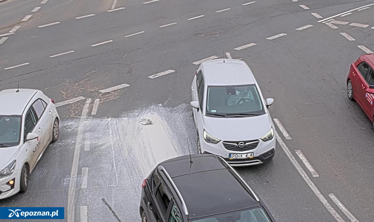 fot. Straż Miejska Poznań