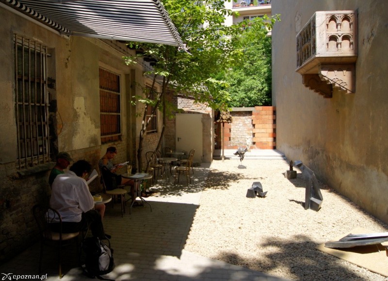 fot. Włodzimierz  Hoppel
