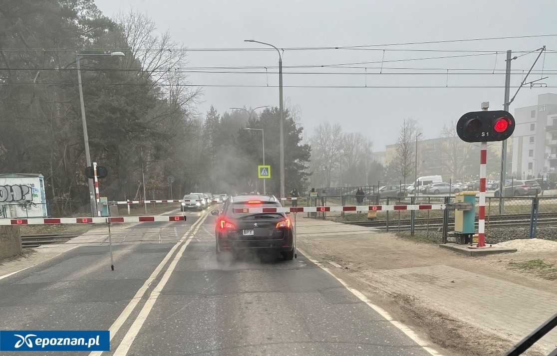 fot. Sławomir / Widz WTK