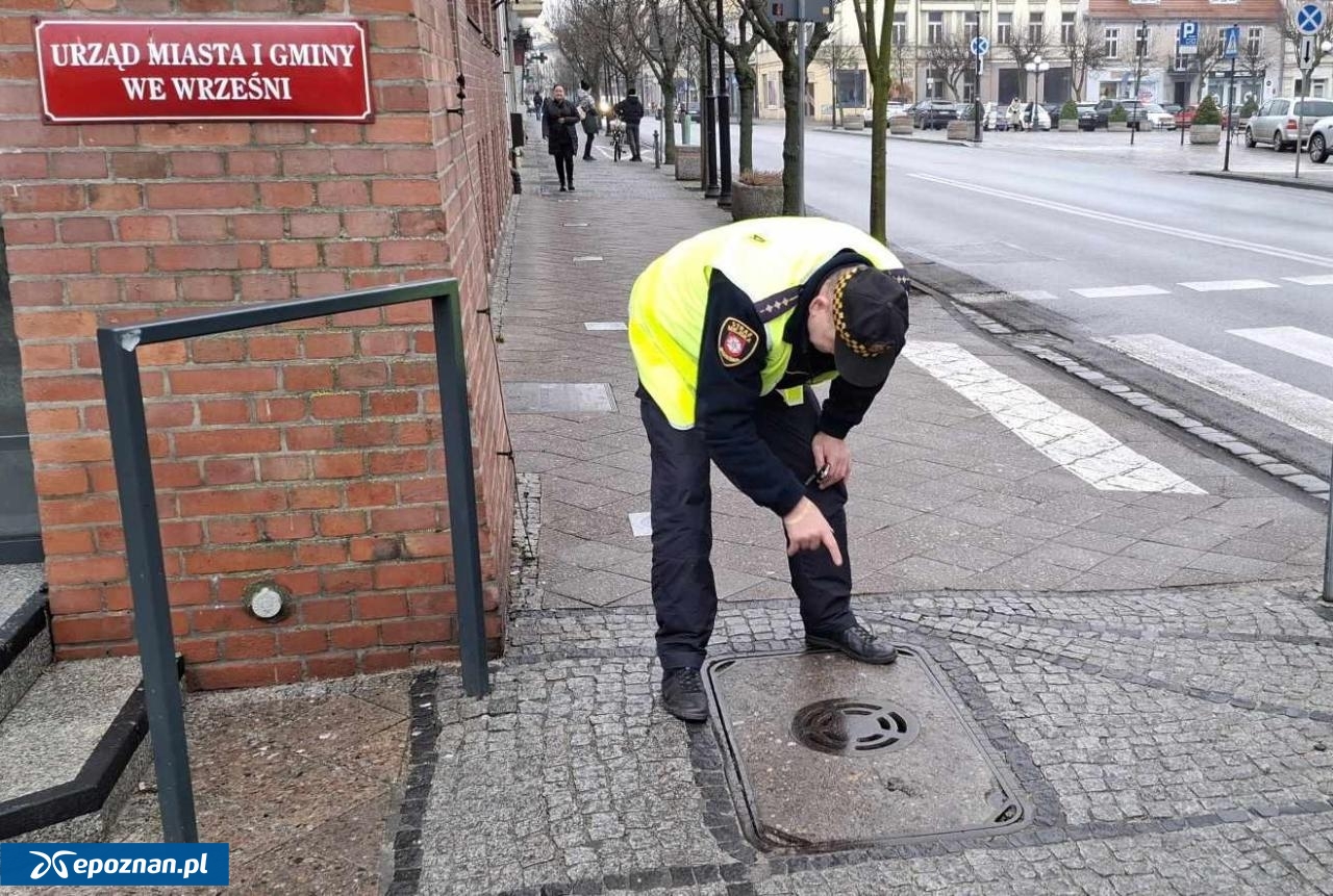 fot. Straż Miejska we Wrześni / FB