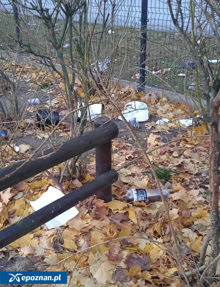 fot. Czytelnik