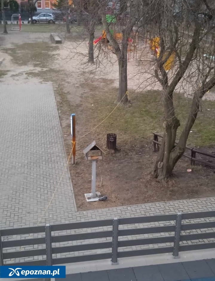 Wygrodzony teren przedszkola | fot. Czytelnik