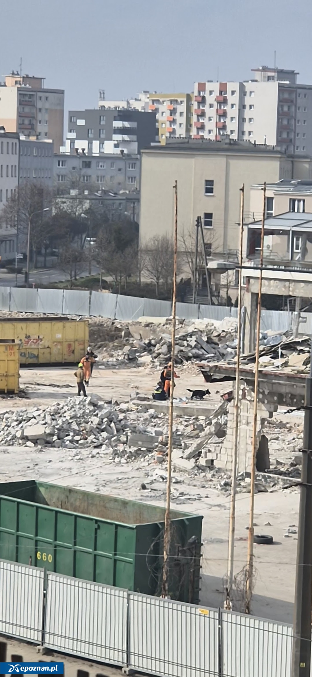 fot. Czytelniczka