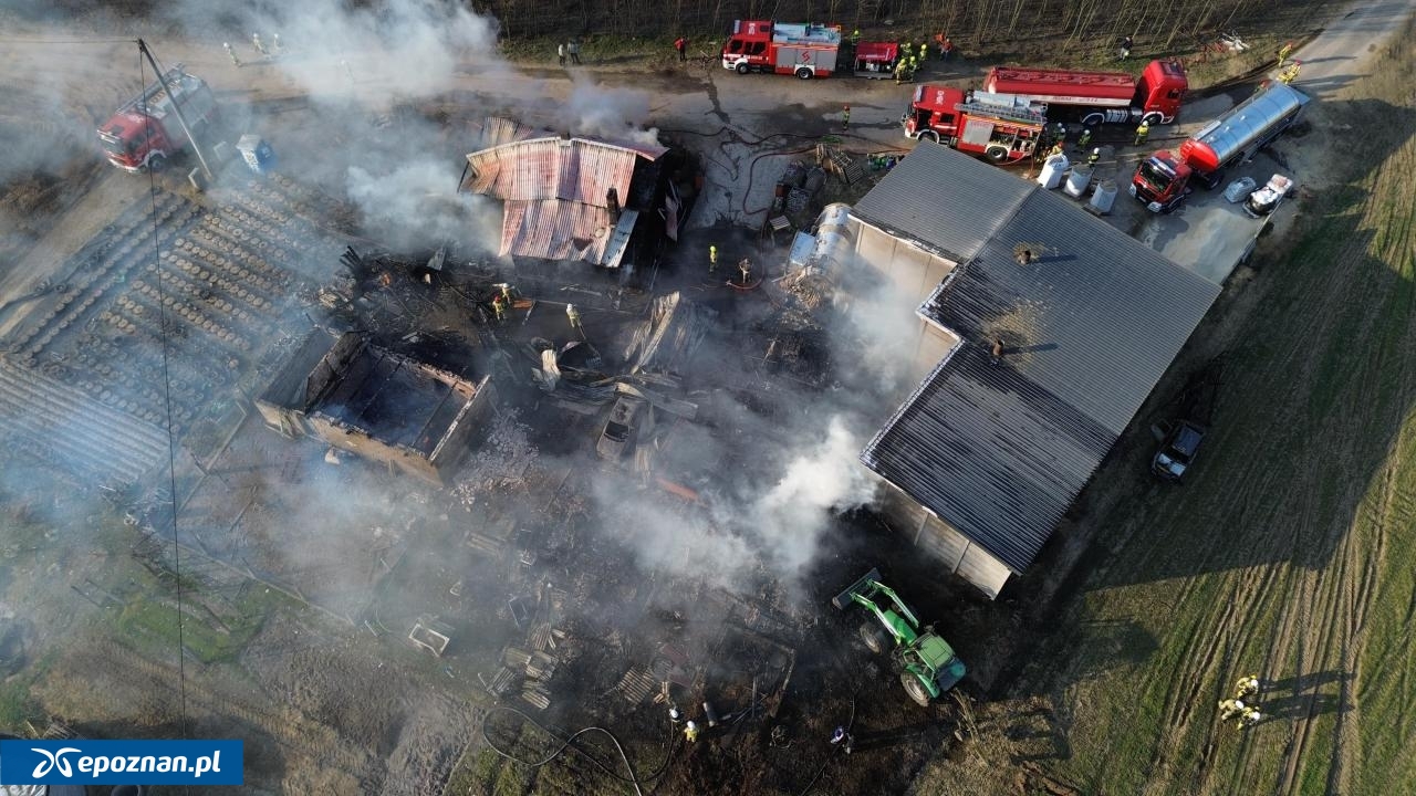 fot. kalisz24.info.pl