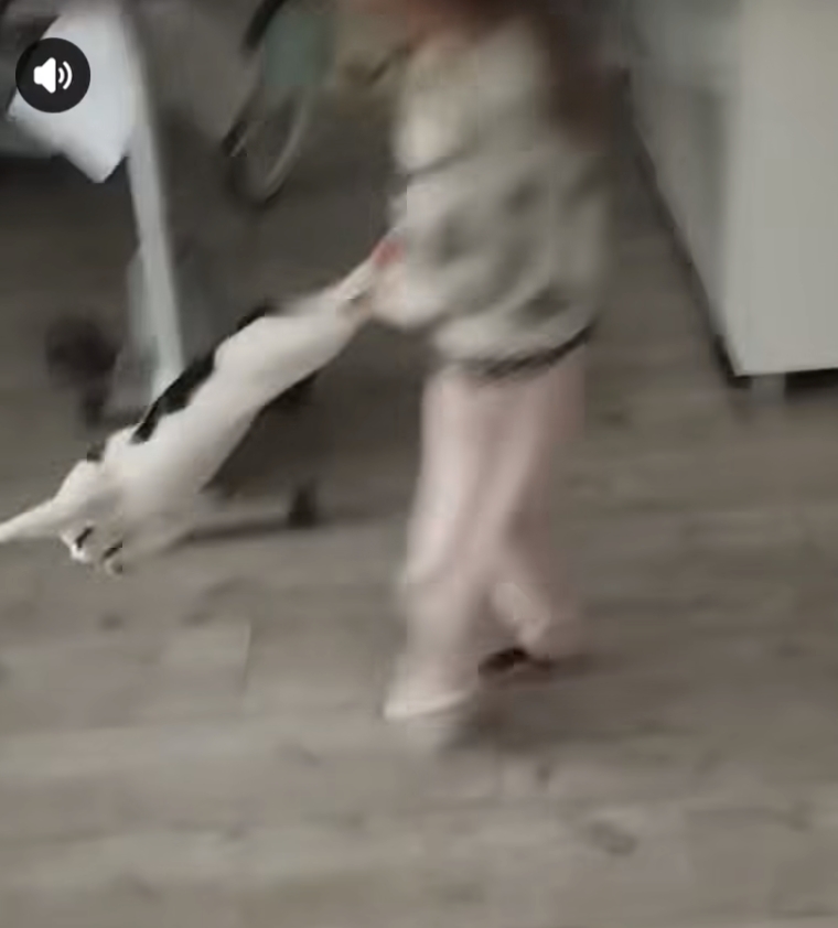 Dziecko trzymało kota za łapy i rzucało nim w domu. Bulwersujące nagranie wrzuciła do sieci prawdopodobnie matka dziewczynki