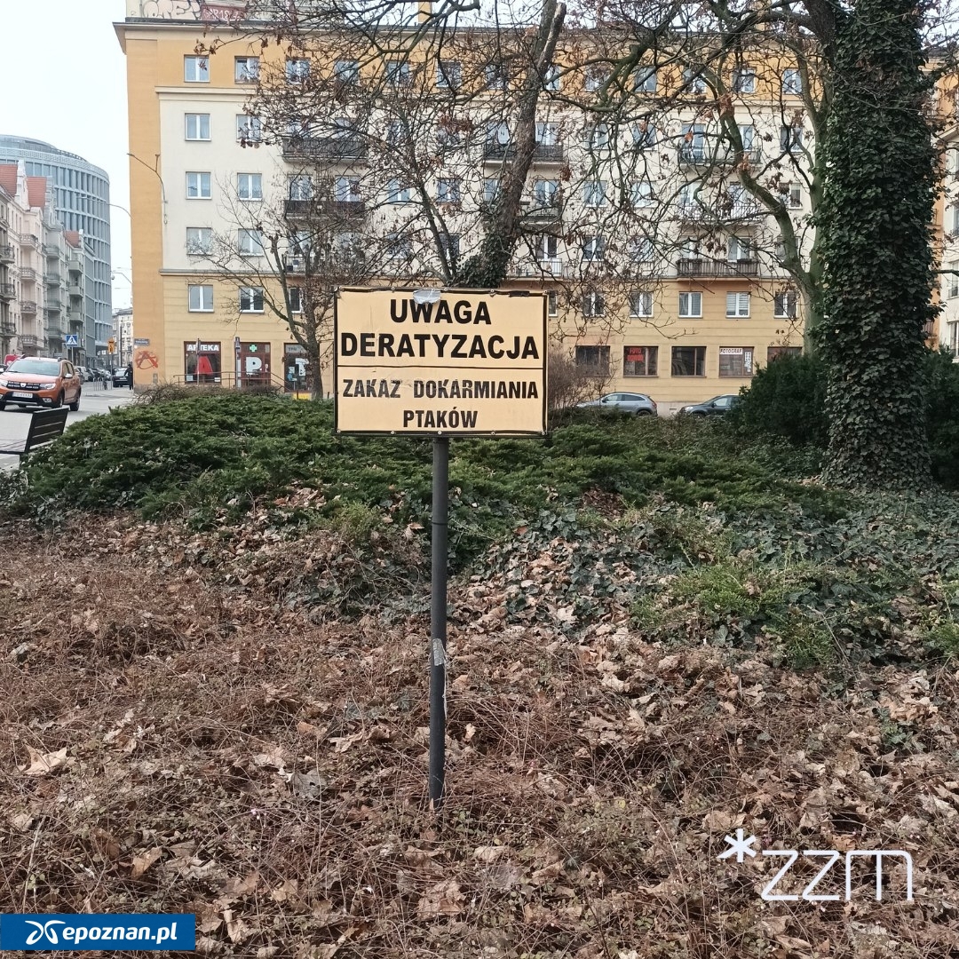 fot. ZZM Poznań / FB