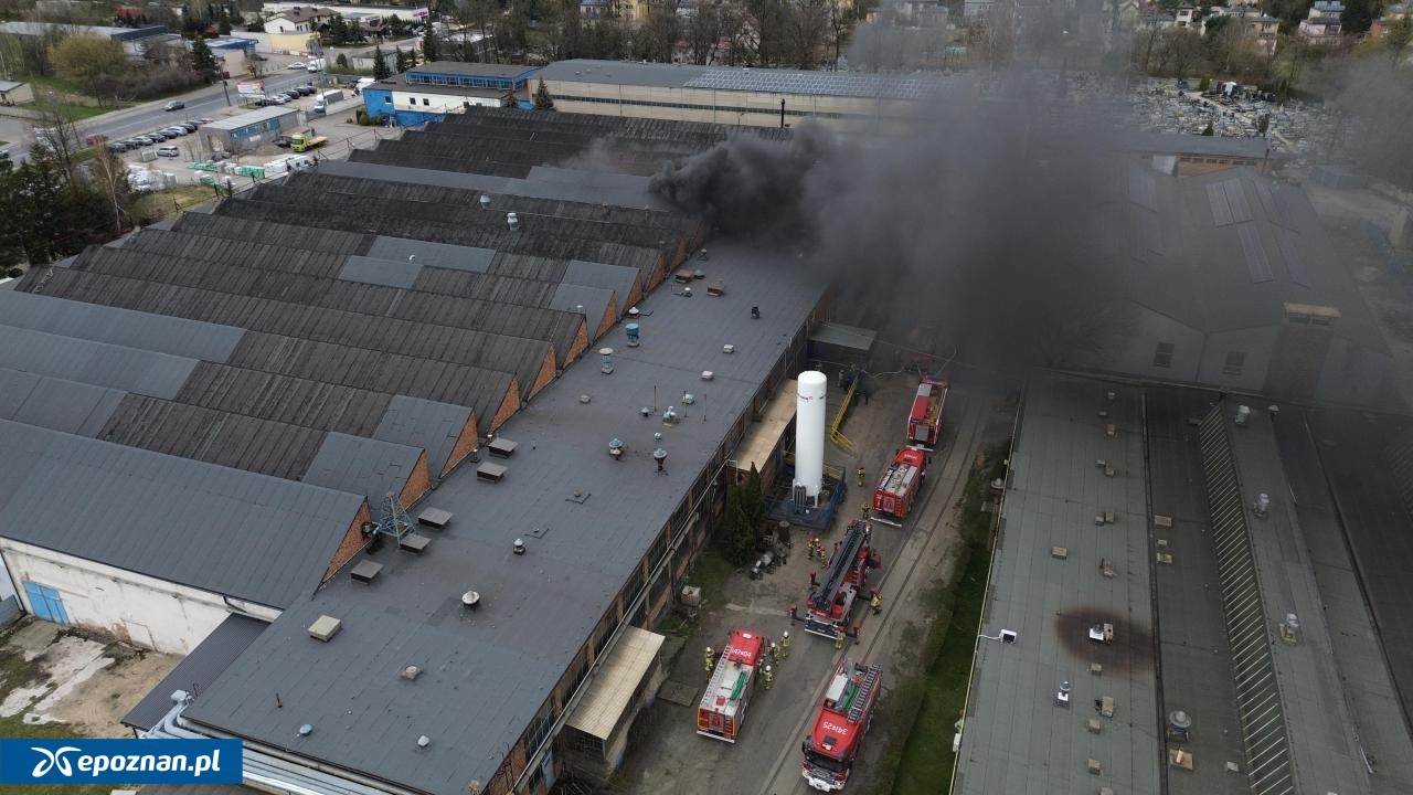 fot. kalisz24.info.pl