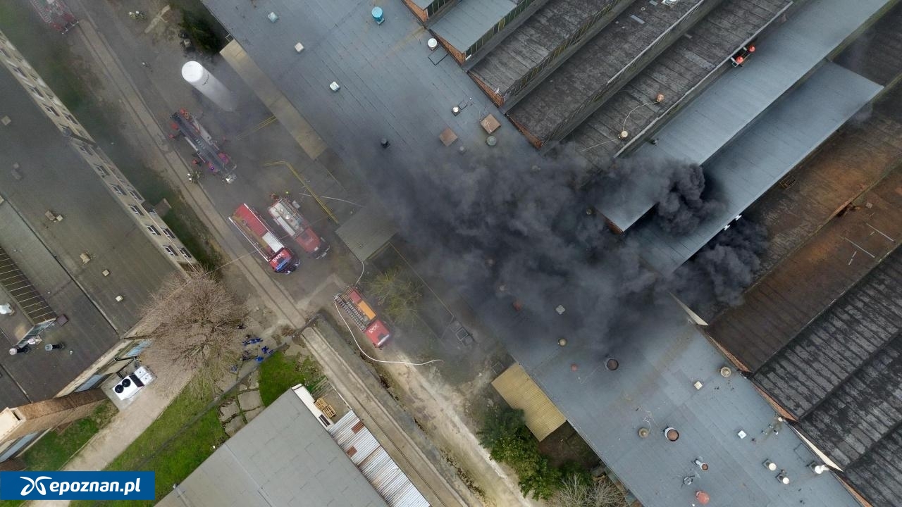 fot. kalisz24.info.pl