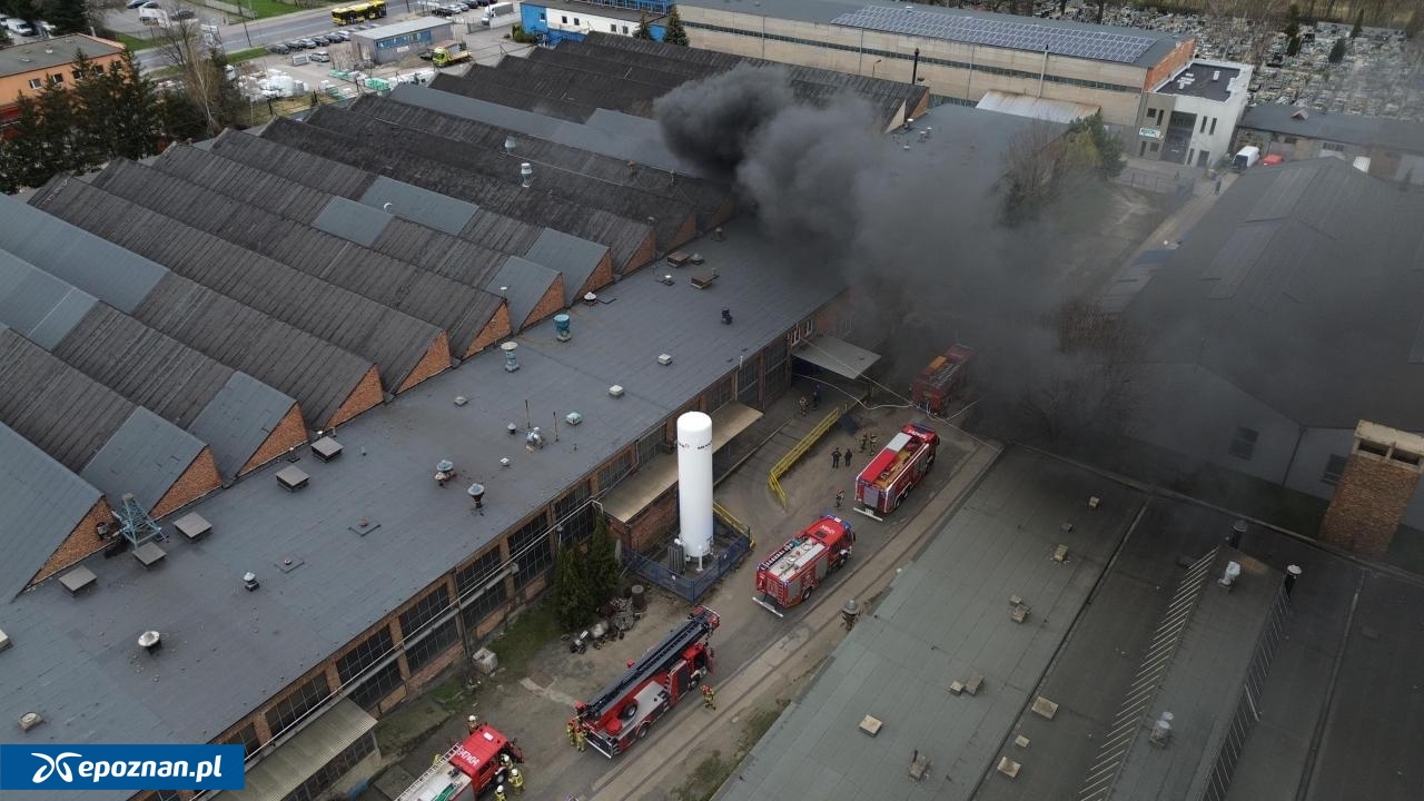 fot. kalisz24.info.pl