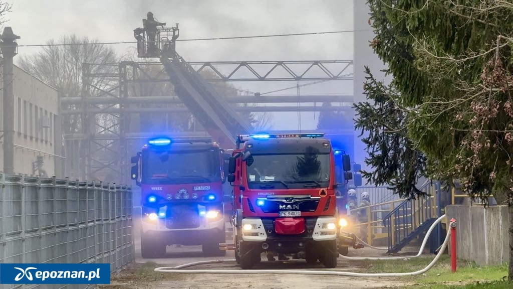 fot. kalisz24.info.pl