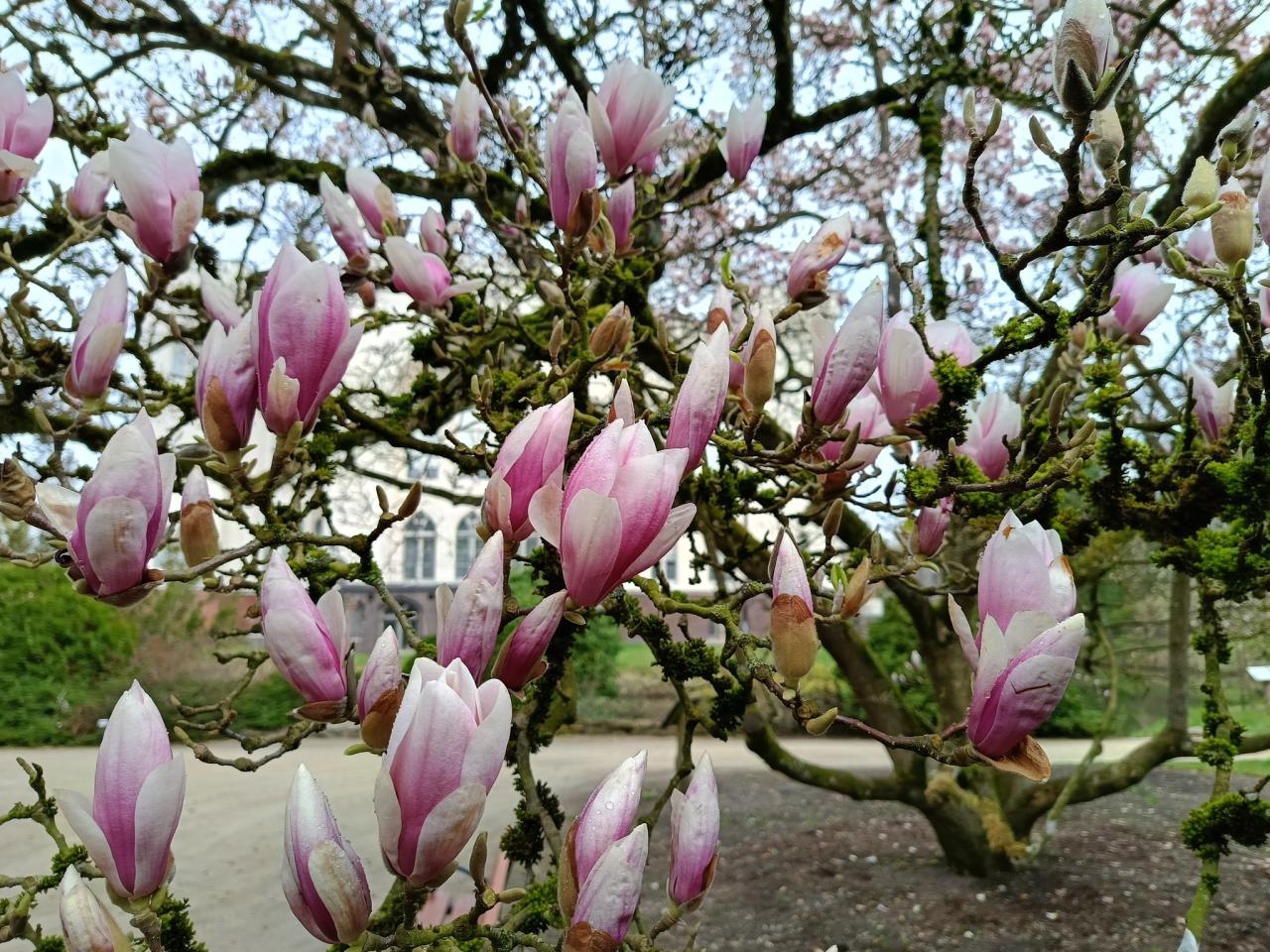 Przed nami jak dotąd najcieplejszy dzień w roku. Na termometrach blisko 30 stopni!
