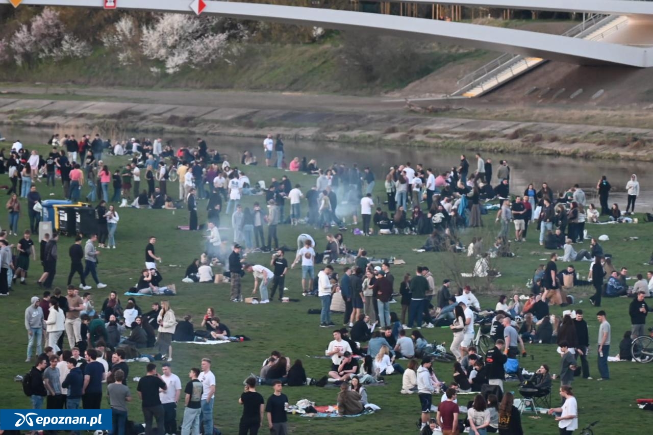 Warto wiedzieć, gdzie wolno nam legalnie rozpalić grilla, a gdzie ognisko w Poznaniu
