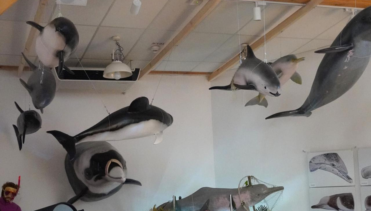 Wyjątkowa wystawa do zobaczenia w Poznaniu "Imponujące rzeźby unoszące się nad głowami"