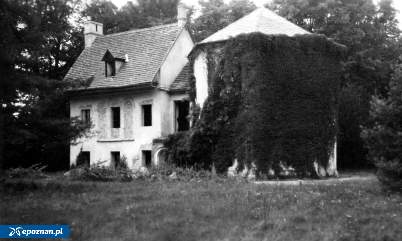 To popularne miejsce pod Poznaniem istnieje już niemal 200 lat. Wciąż poszukują historycznych pamiątek!