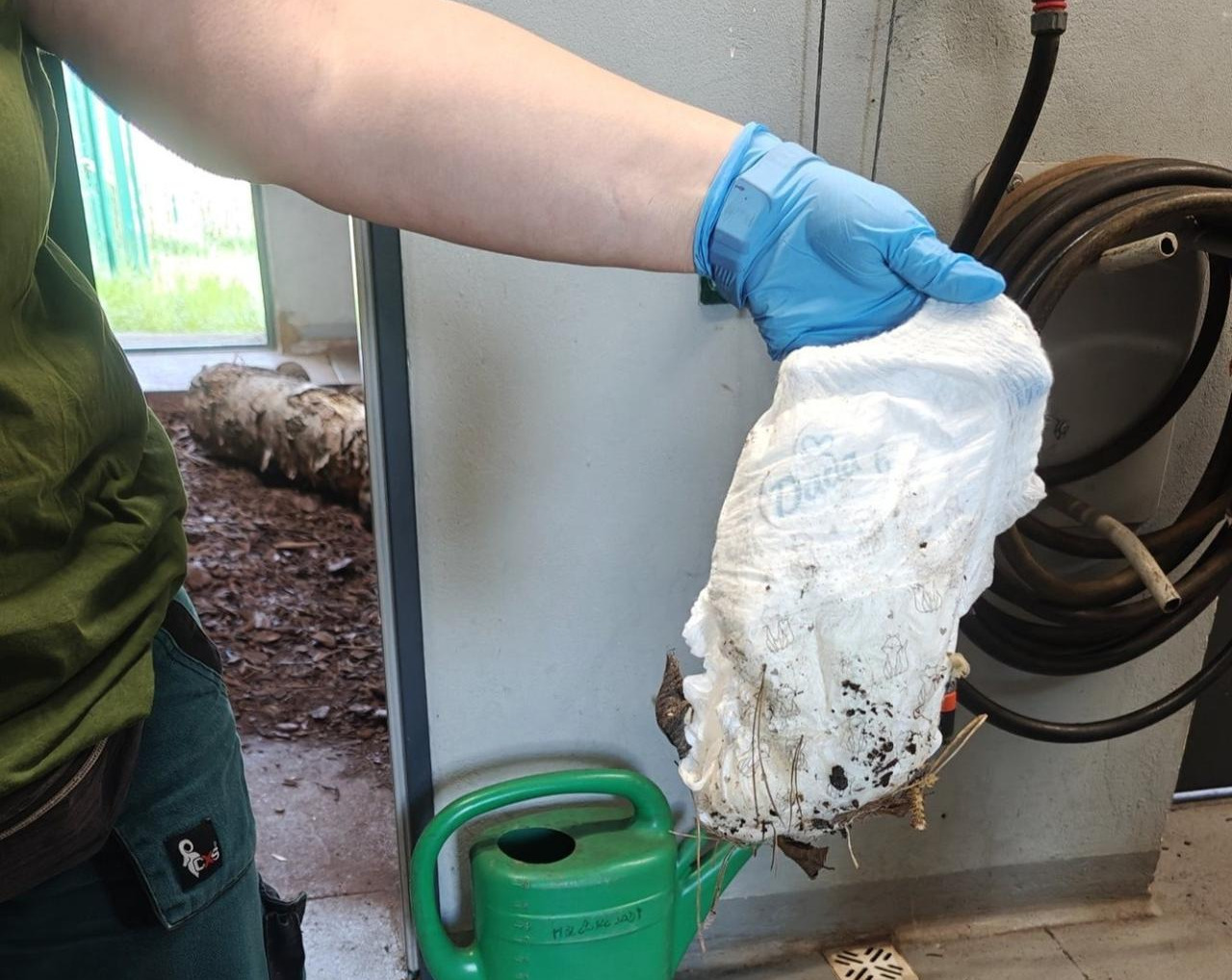 Nietypowe znalezisko w poznańskim ZOO. "Nie potrafimy znaleźć słów"