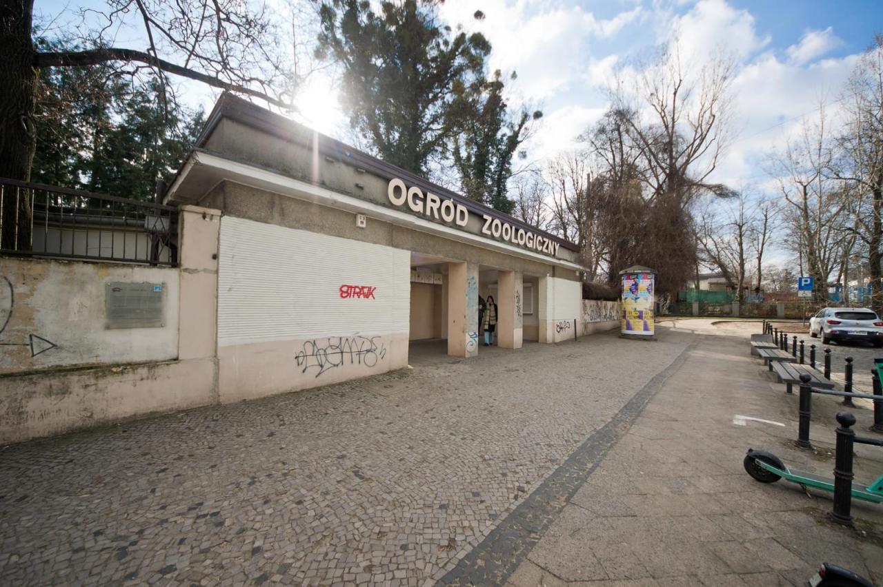 Niepokojące doniesienia z poznańskiego ZOO. "Zwierzęta mają zostać zabite"?