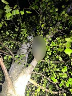 Policjanci z regionu pomogli osobie w kryzysie. Zastali mężczyznę na drzewie