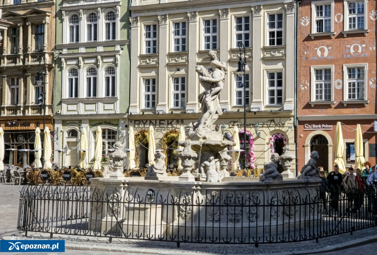 fot. ZDM Poznań