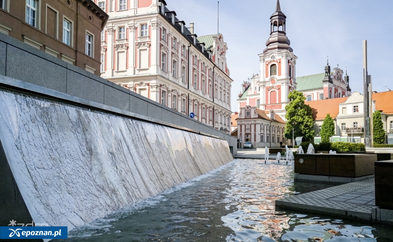 fot. ZDM Poznań