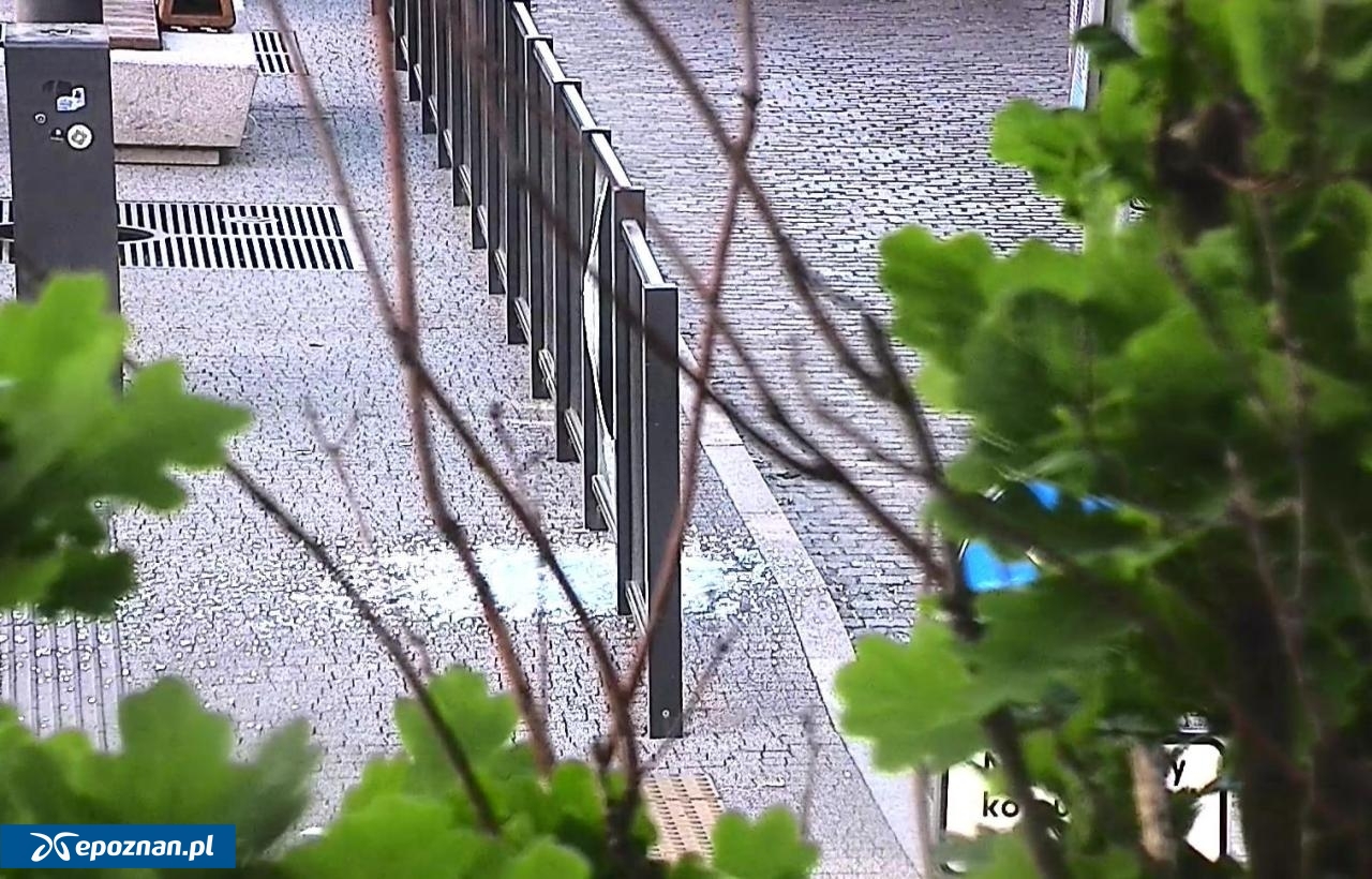 fot. Straż Miejska
