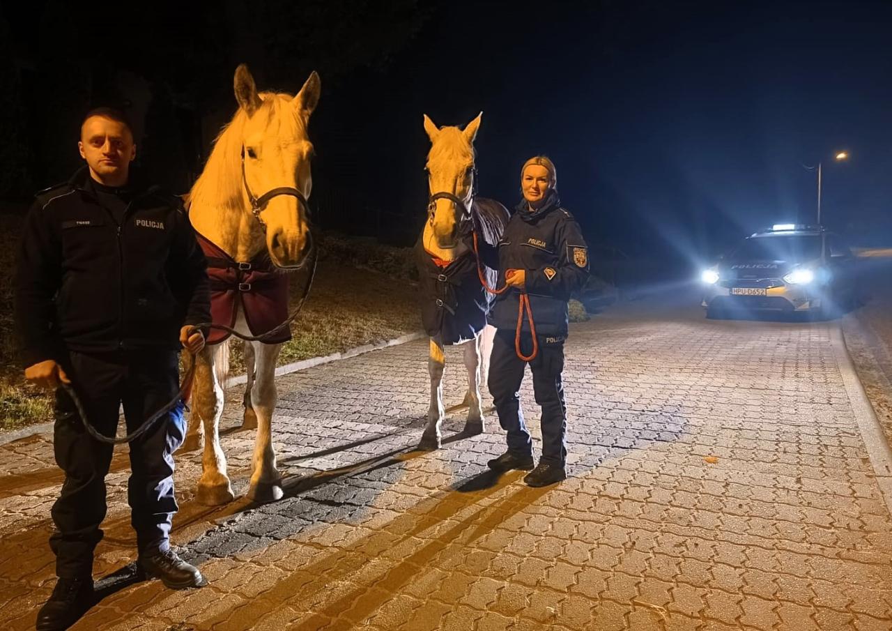 Nietypowa interwencja w regionie. Policjanci szukali spłoszonych koni