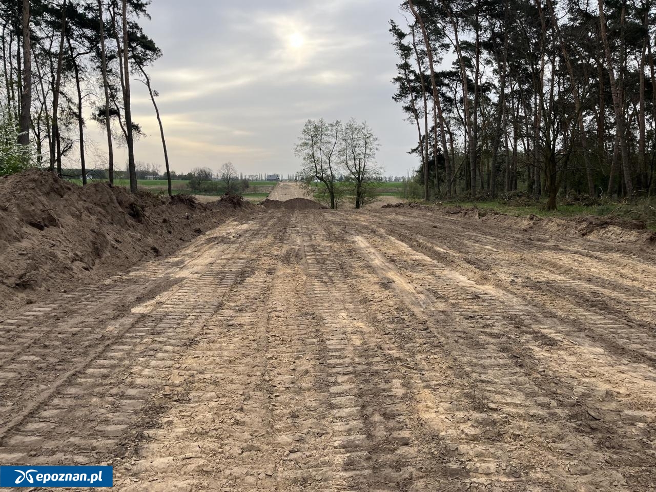 fot. Wielkopolski Zarząd Dróg Wojewódzkich w Poznaniu / FB