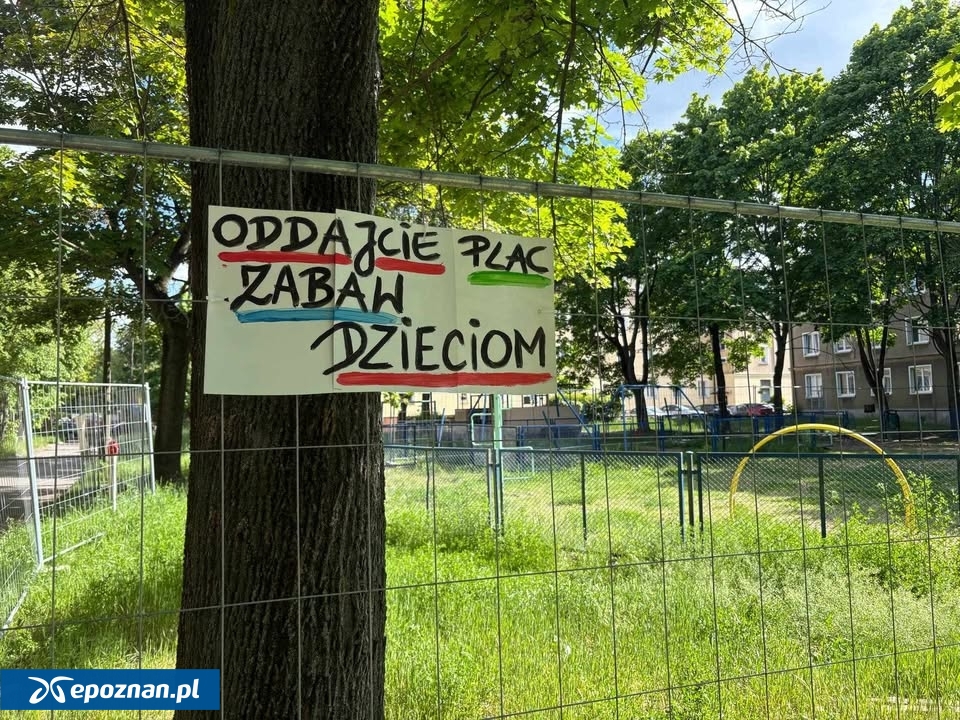 fot. Czytelniczka