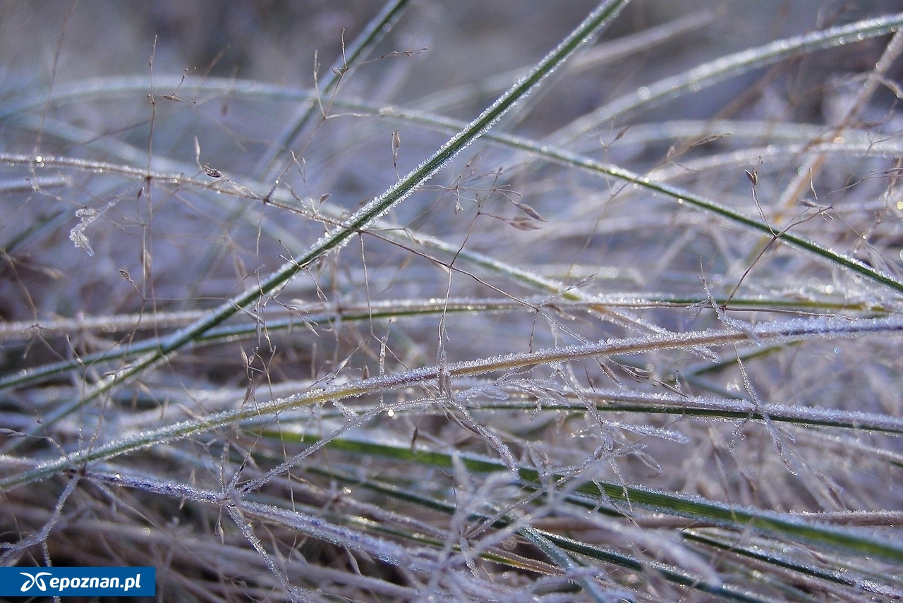 Jest kolejne ostrzeżenie IMGW!