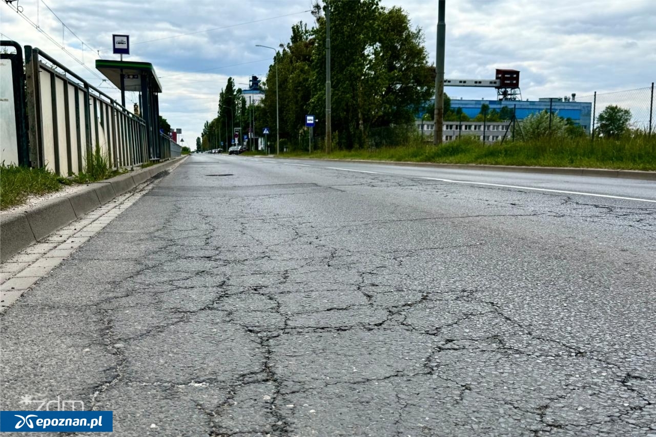 fot. ZDM Poznań