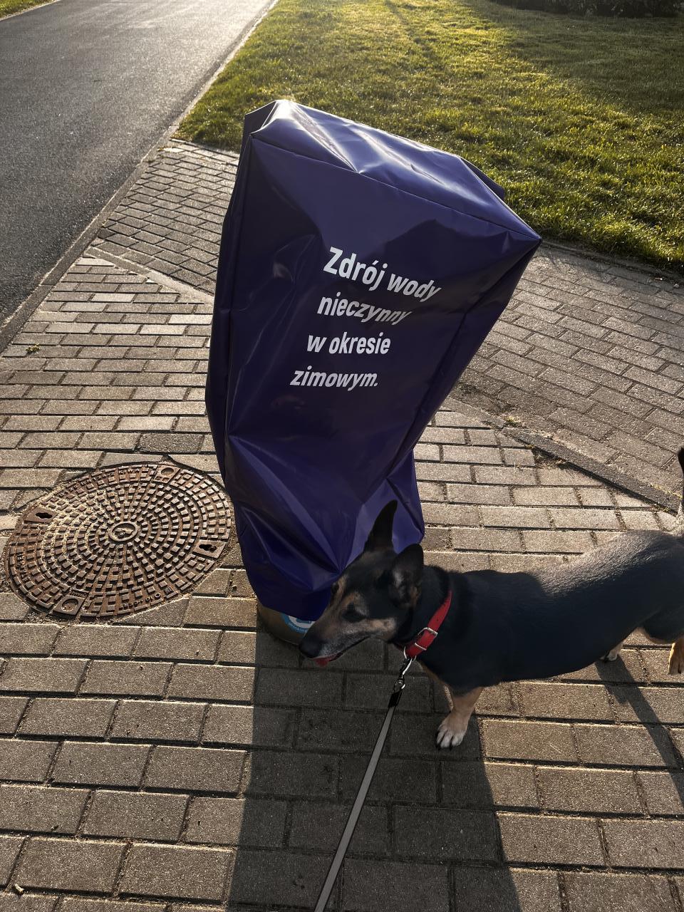 Zdroje wodne w Poznaniu wciąż nie działają. "Sezon zimowy już dawno się skończył"?