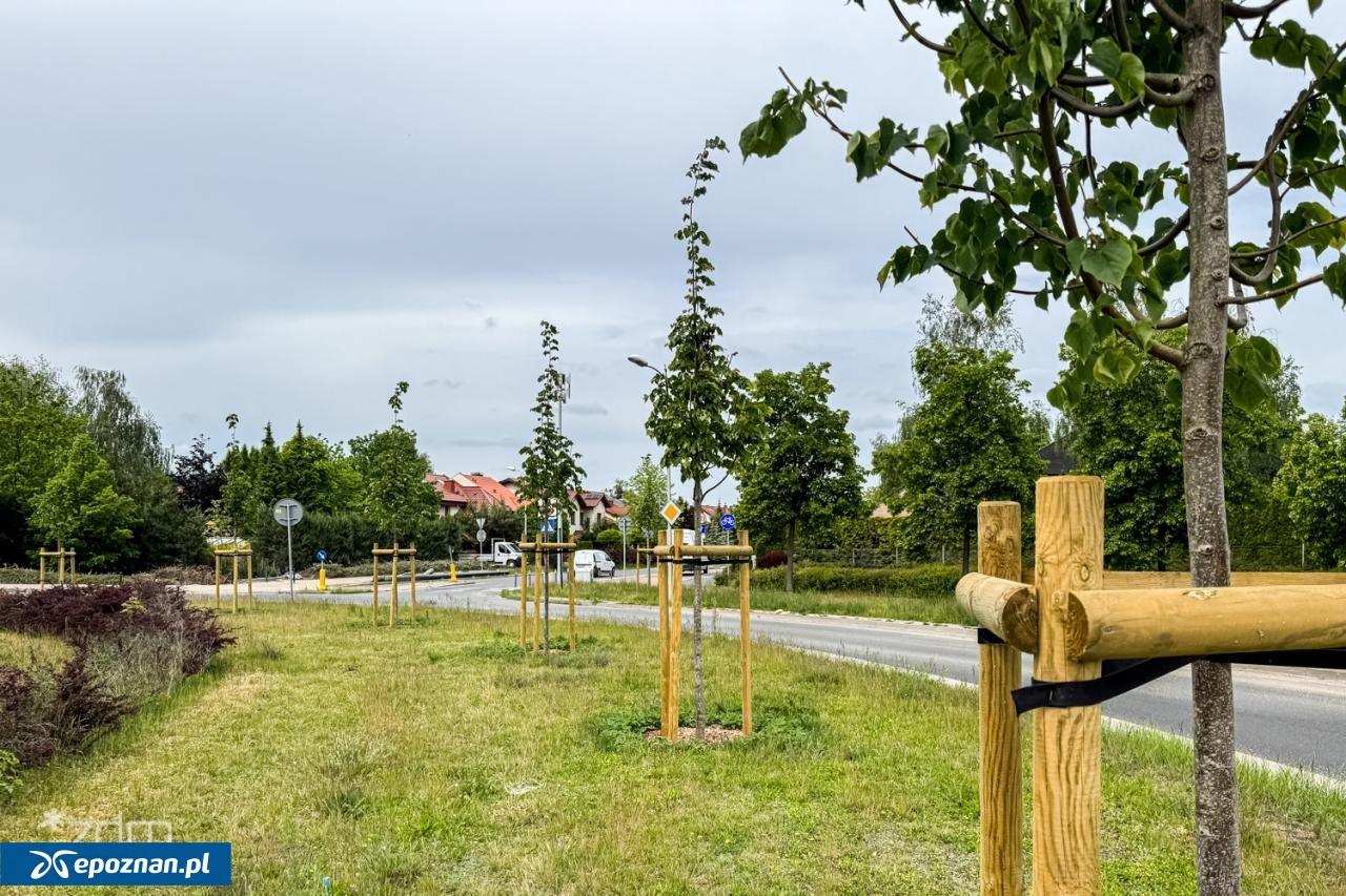 fot. Bartosz Szczepaniak / ZDM