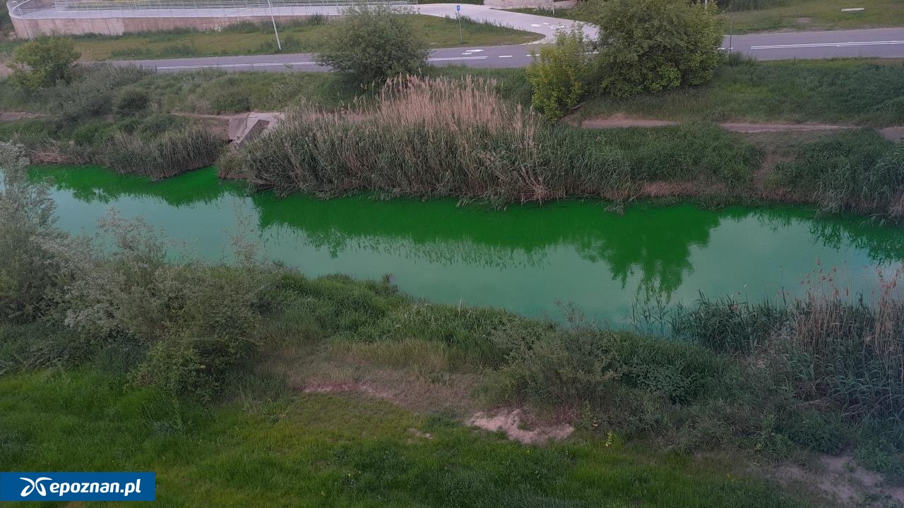 fot. Czytelnik