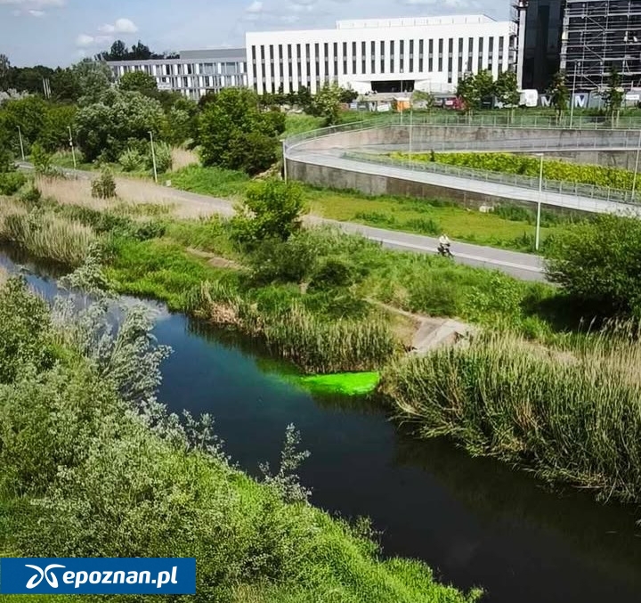 fot. Czytelniczka
