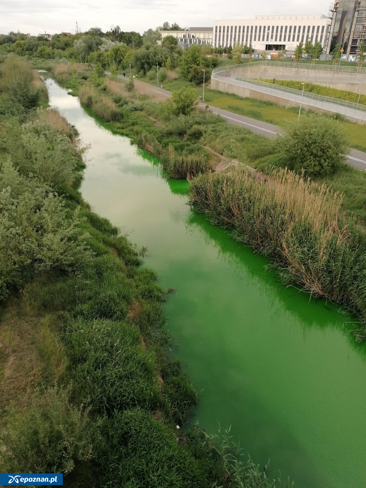 fot. Czytelnik