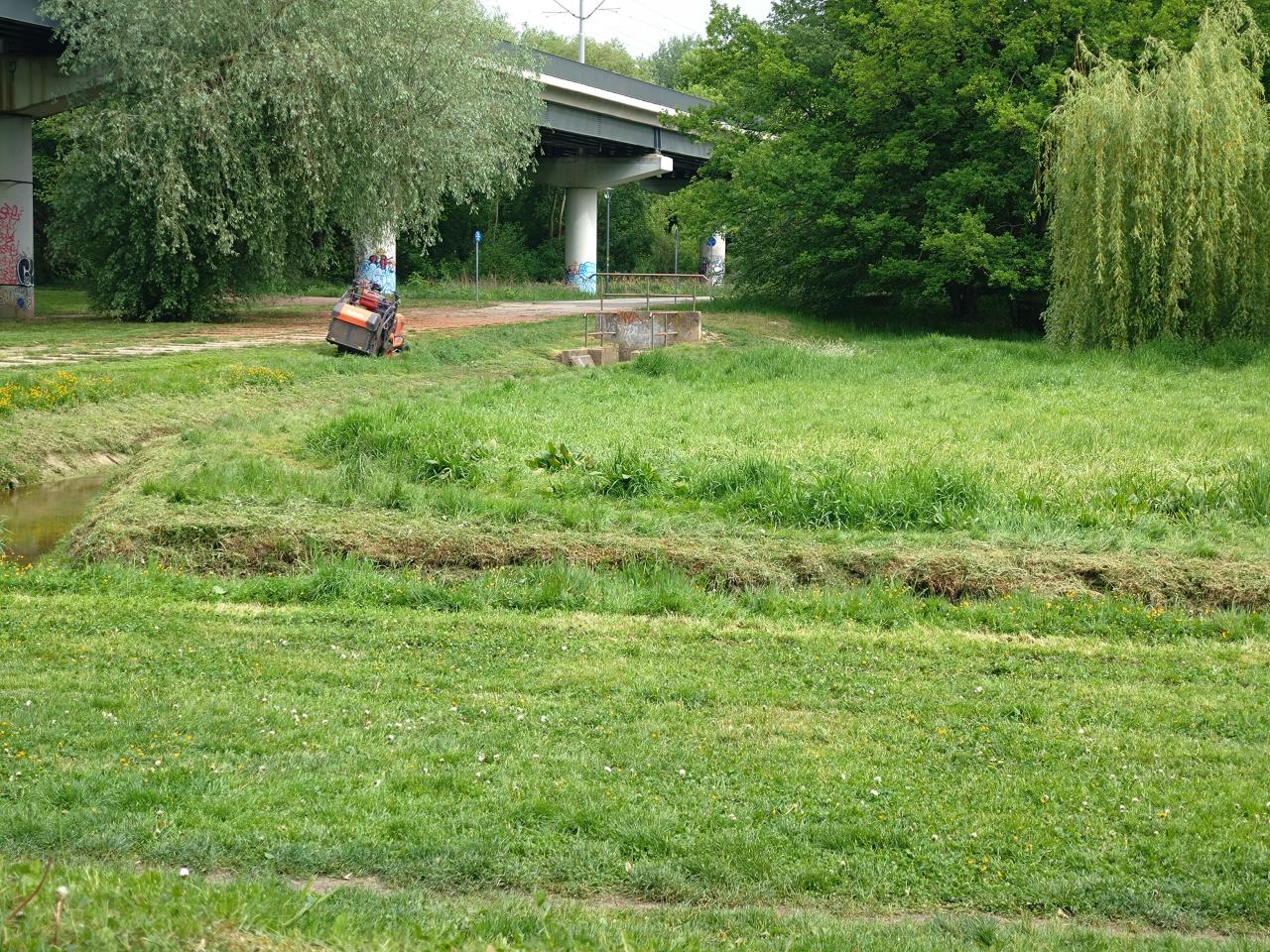 Koszą trawę "do samej gleby". "Beton, kurz i wypalona ziemia stały się synonimem porządku"