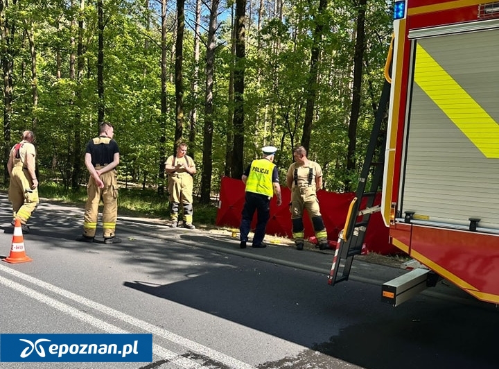 fot. KPP Gniezno / FB