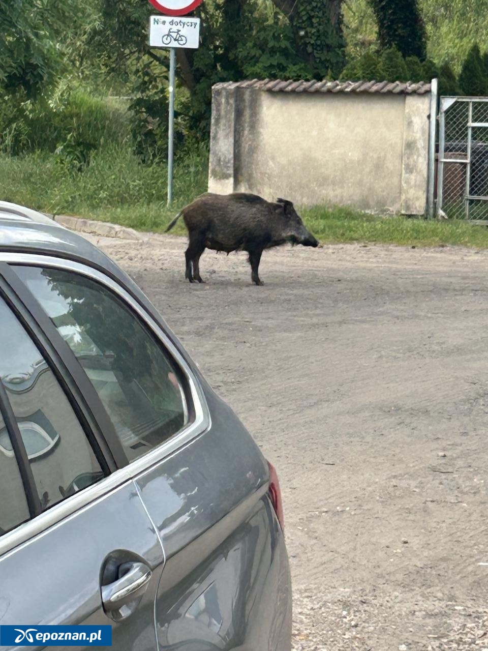 fot. Czytelnik