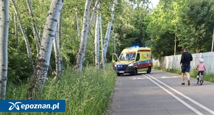 fot. Czytelniczka