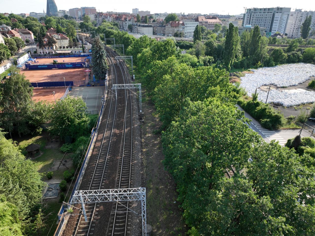 Kilkaset drzew do wycięcia w centrum Poznania. "Dla zapewnienia bezpieczeństwa w ruchu pociągów"
