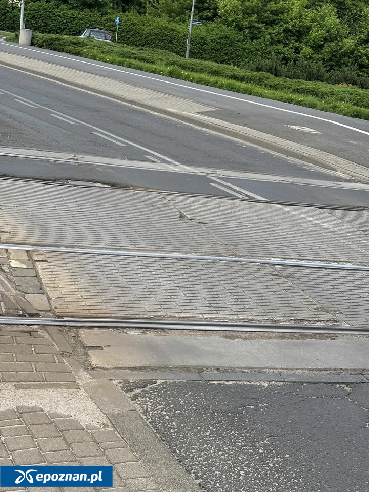 fot. Czytelniczka