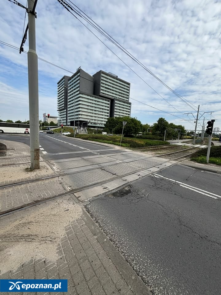 fot. Czytelniczka