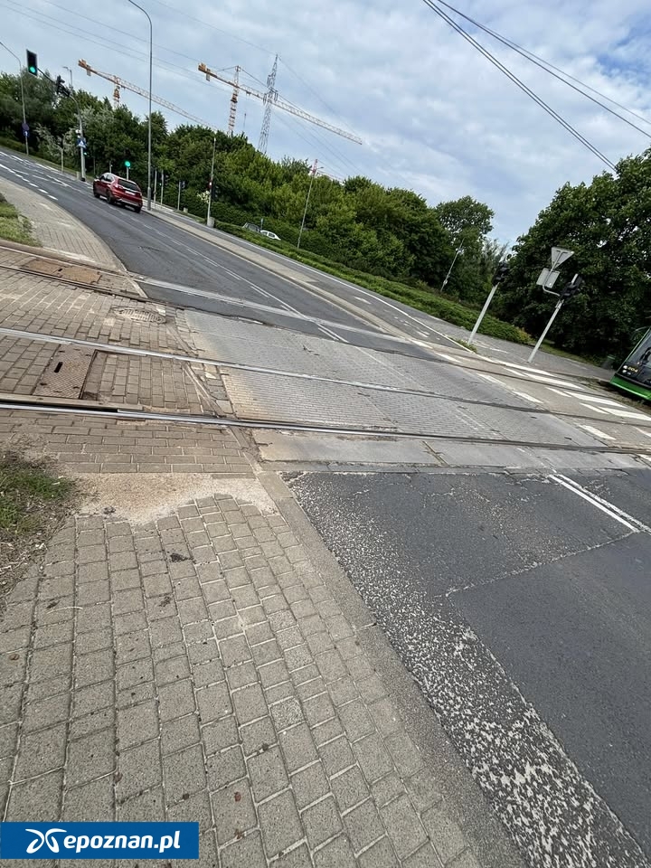 fot. Czytelniczka